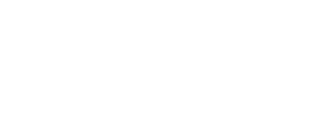 Winning Partner